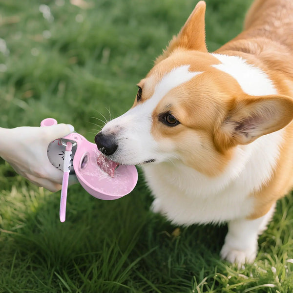 2-in-1-Portable-Dog-Water-Bottle-for-Small-Dogs-Leak-Proof-Compact-Dog-Travel-Water.jpg